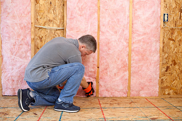 Best Energy-efficient Insulation  in Many, LA